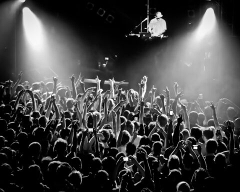 Crowd Varmode 5